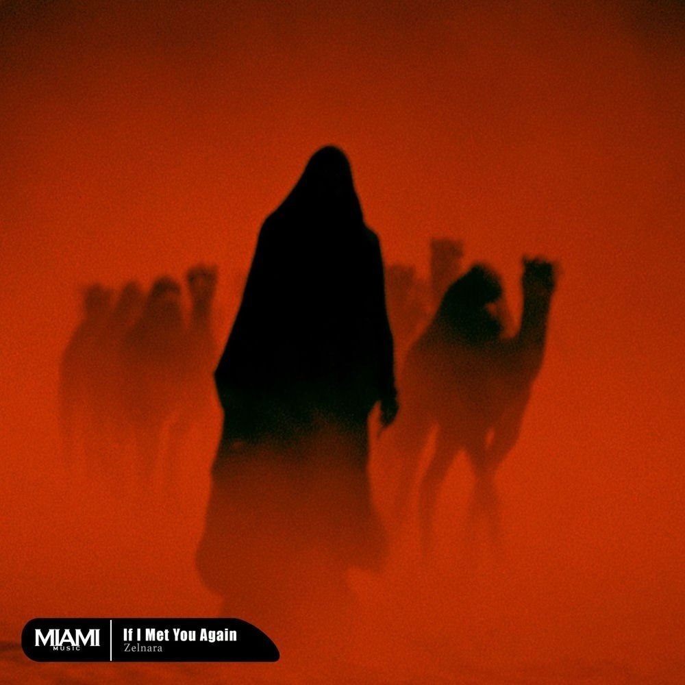 اگر دوباره می‌دیدمت